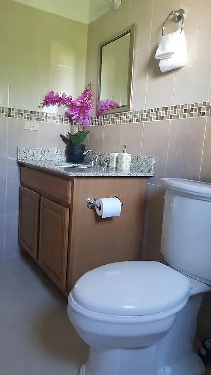 Enfield Apt 12, Executive Suites Ja - Palms 0*,